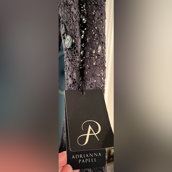 ADRIANNA PAPELL LONG SLEEVE BACK ZIPPER LACE SHEATH DRESS🔥🔥🔥🔥sz 16 - Picture 3 of 5